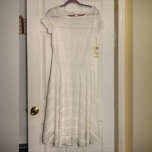 NWT Sangria Sz 8 Women Tea Dress Lace FitFlare White Short Sleeve Lined Stretch